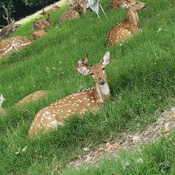 Meet your Posher, Mirna - Picture 1 of 1